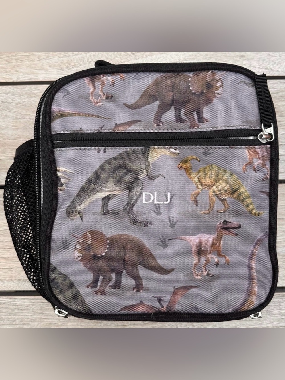 KIDS Pottery Barn Kids Mackenzie Gray Dinosaur Photoreal Classic Lunch Box